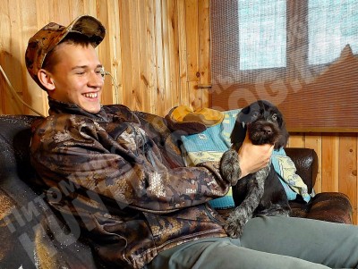 Новые владельцы